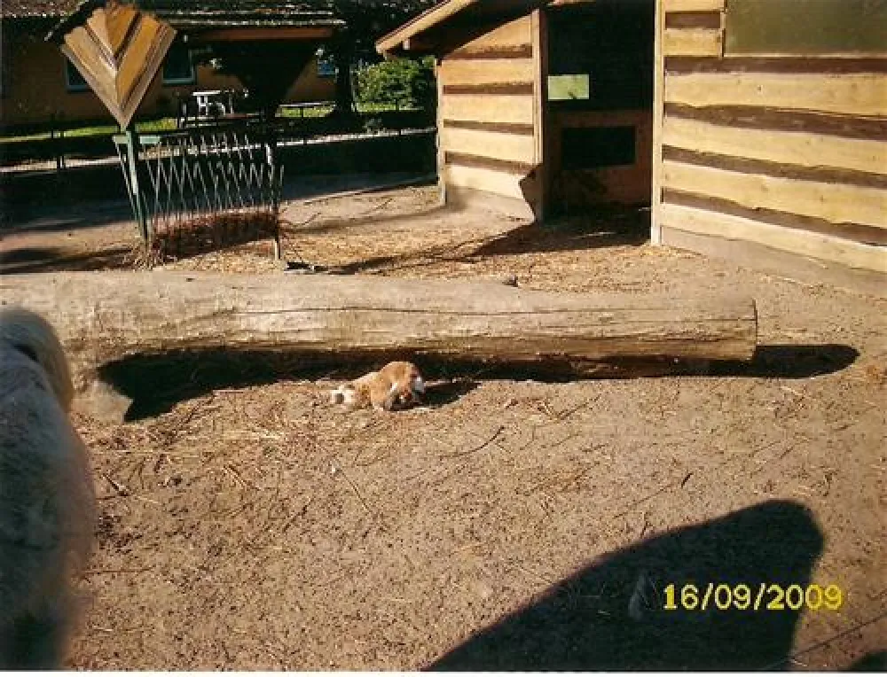 Ostseecamping Zierow