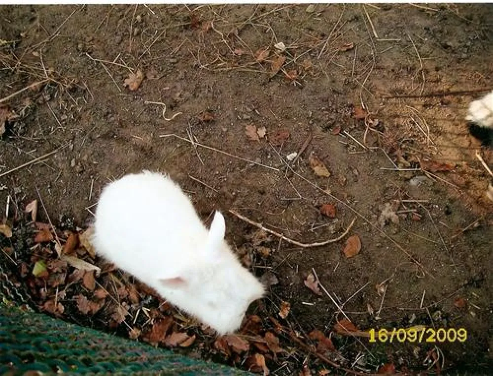 Ostseecamping Zierow