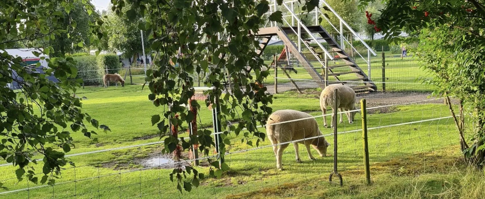 Minicamping De Catshoek