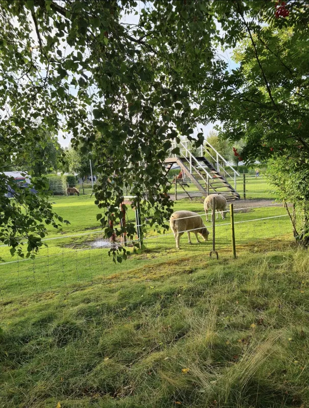 Minicamping De Catshoek