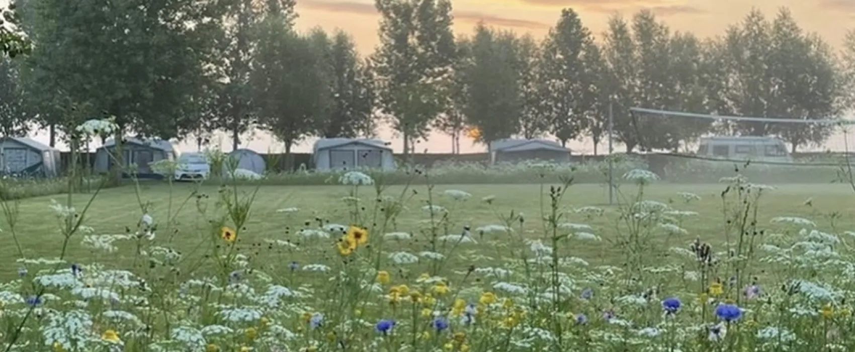 Minicamping De Catshoek