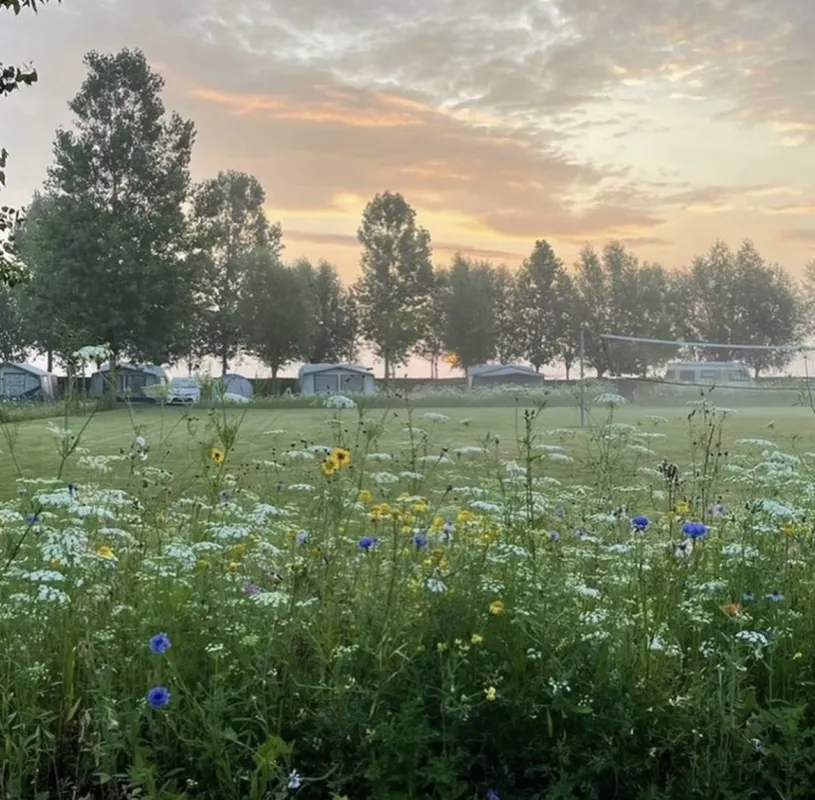 Minicamping De Catshoek