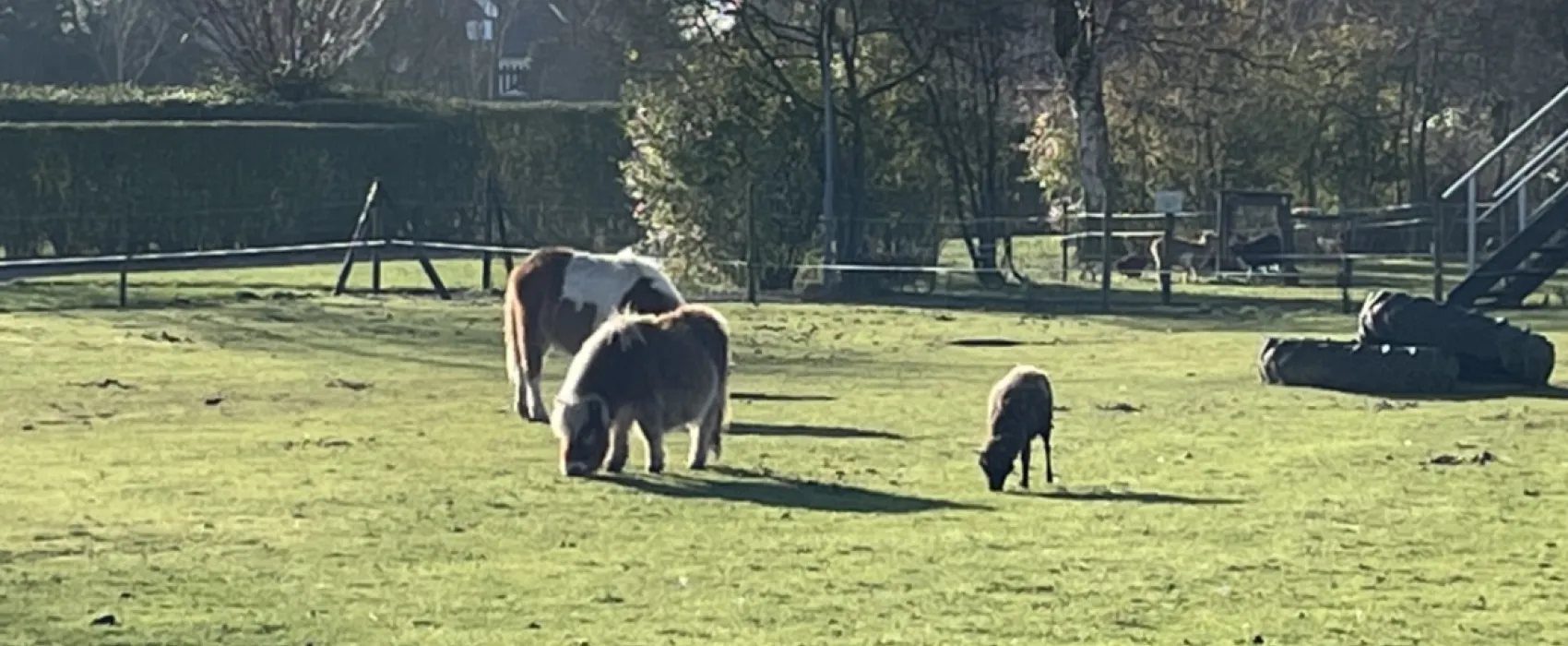 Minicamping De Catshoek