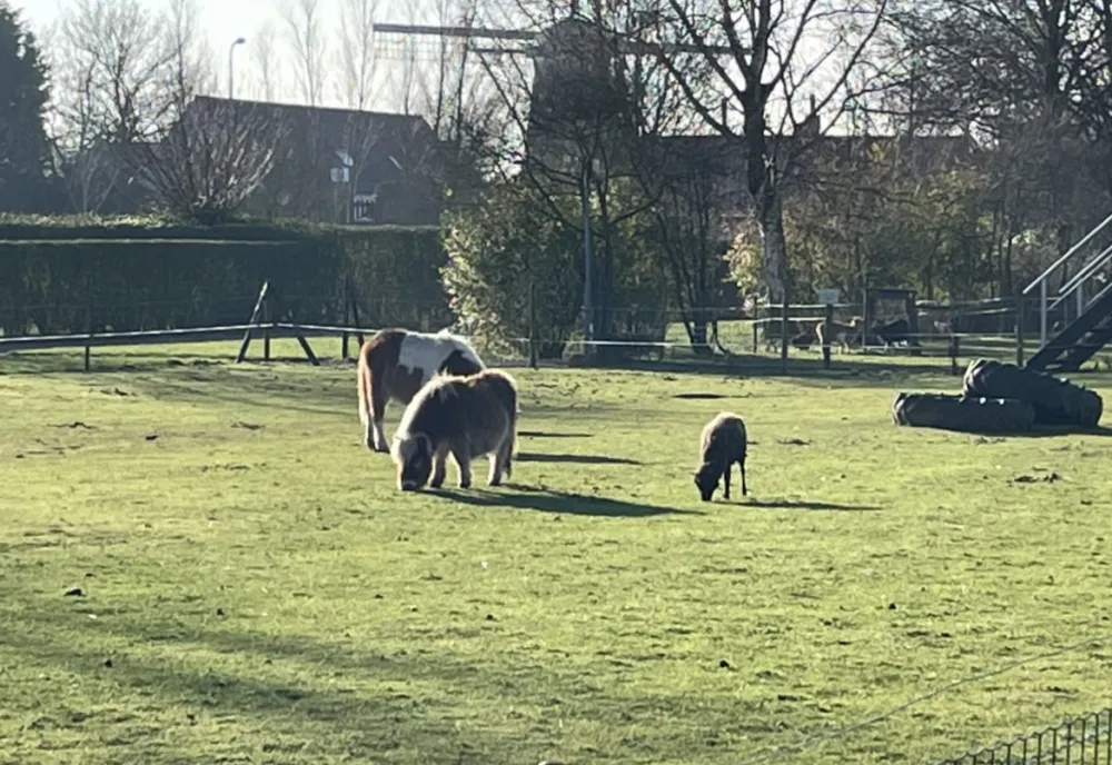 Minicamping De Catshoek