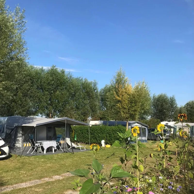 Minicamping De Catshoek