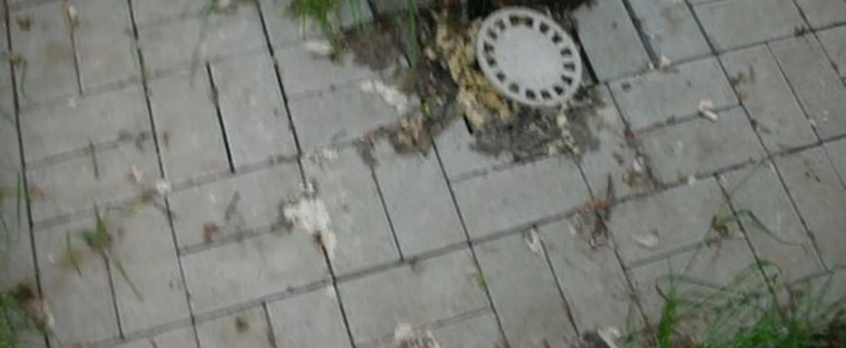 Bad Sonnenland Ferienpark und Campingplatz