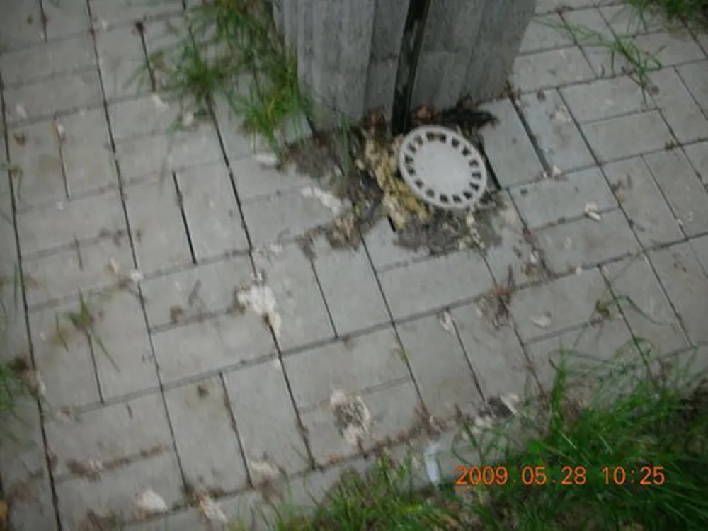 Bad Sonnenland Ferienpark und Campingplatz