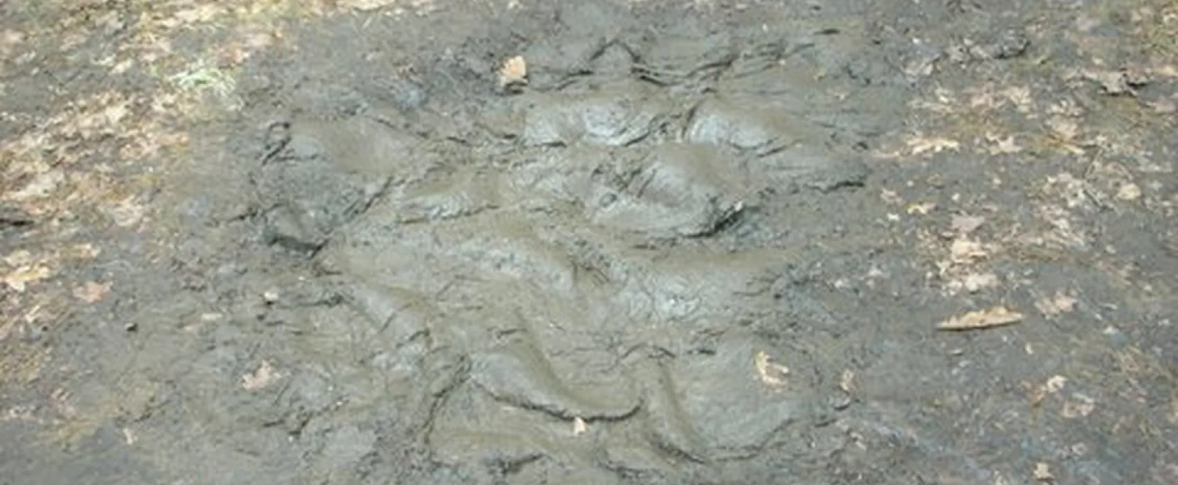 Bad Sonnenland Ferienpark und Campingplatz