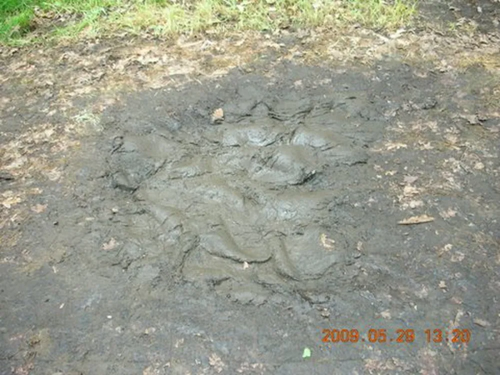 Bad Sonnenland Ferienpark und Campingplatz