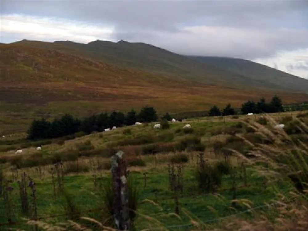 Powers the Pot C. & C. Park