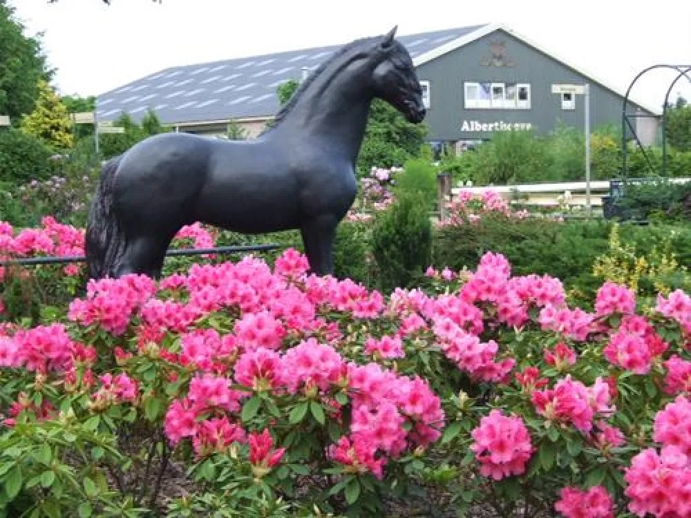 SVR-Natuurcamping de Alberthoeve