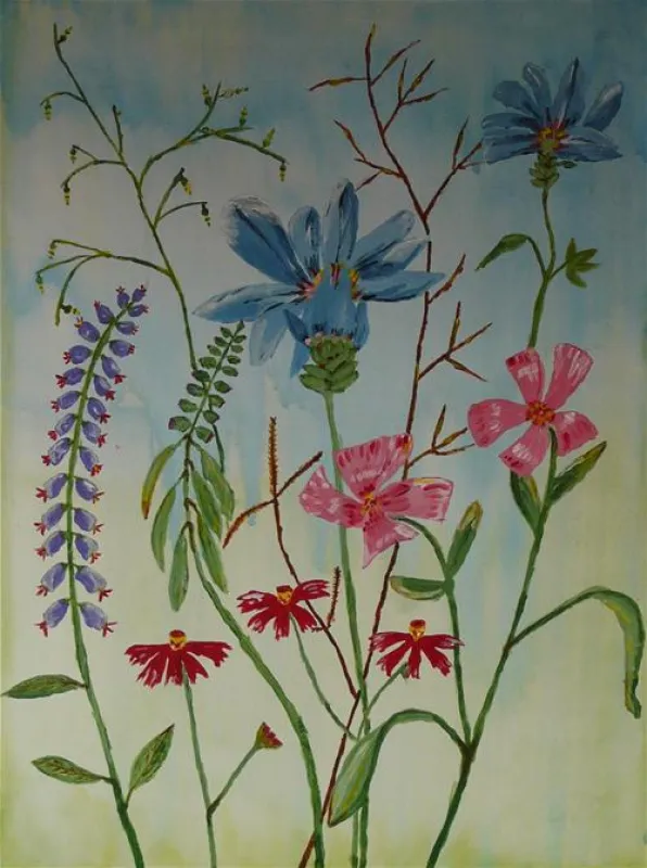 Minicamping Huismans