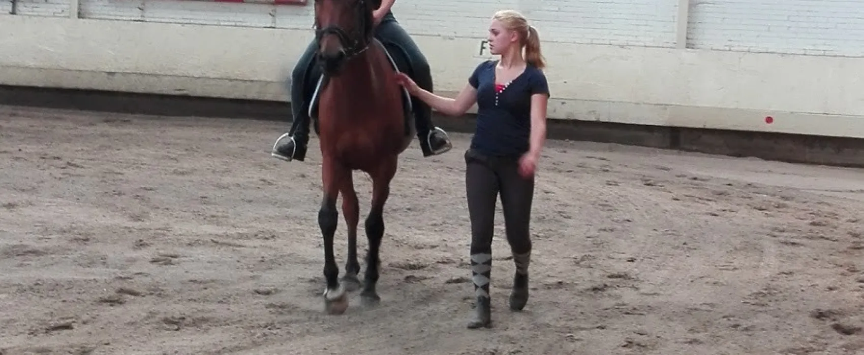 Camping Manege Smit Pesse