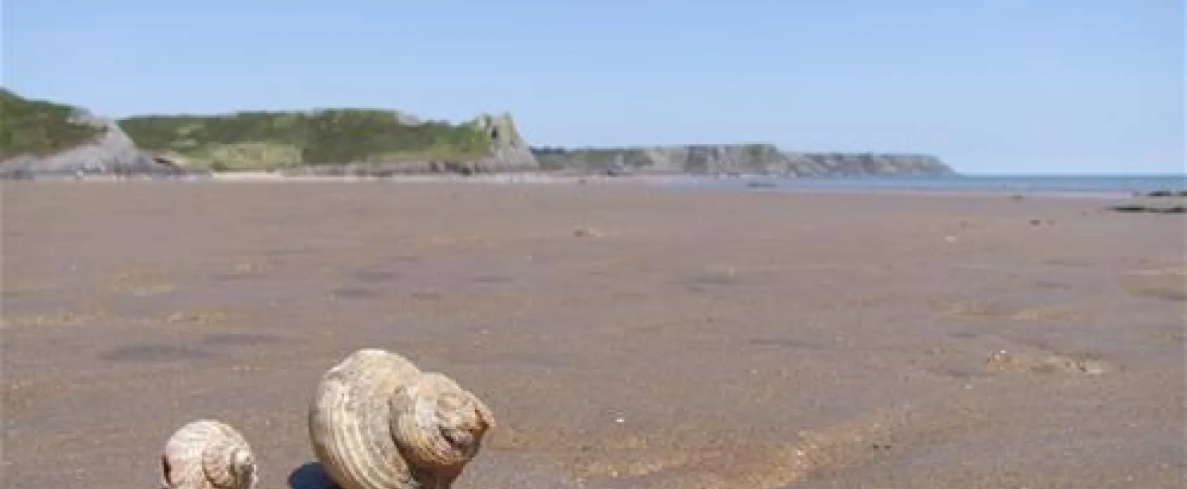 Nicholaston Farm Caravan and Camping Site