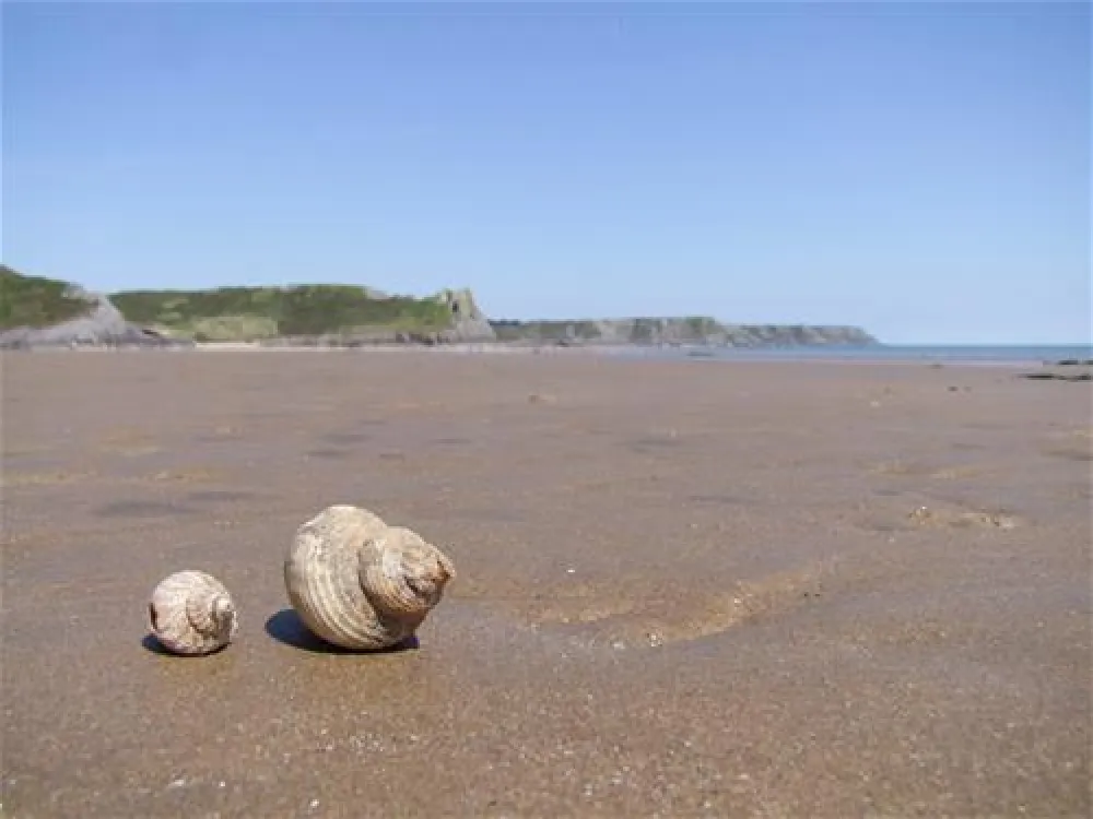 Nicholaston Farm Caravan and Camping Site