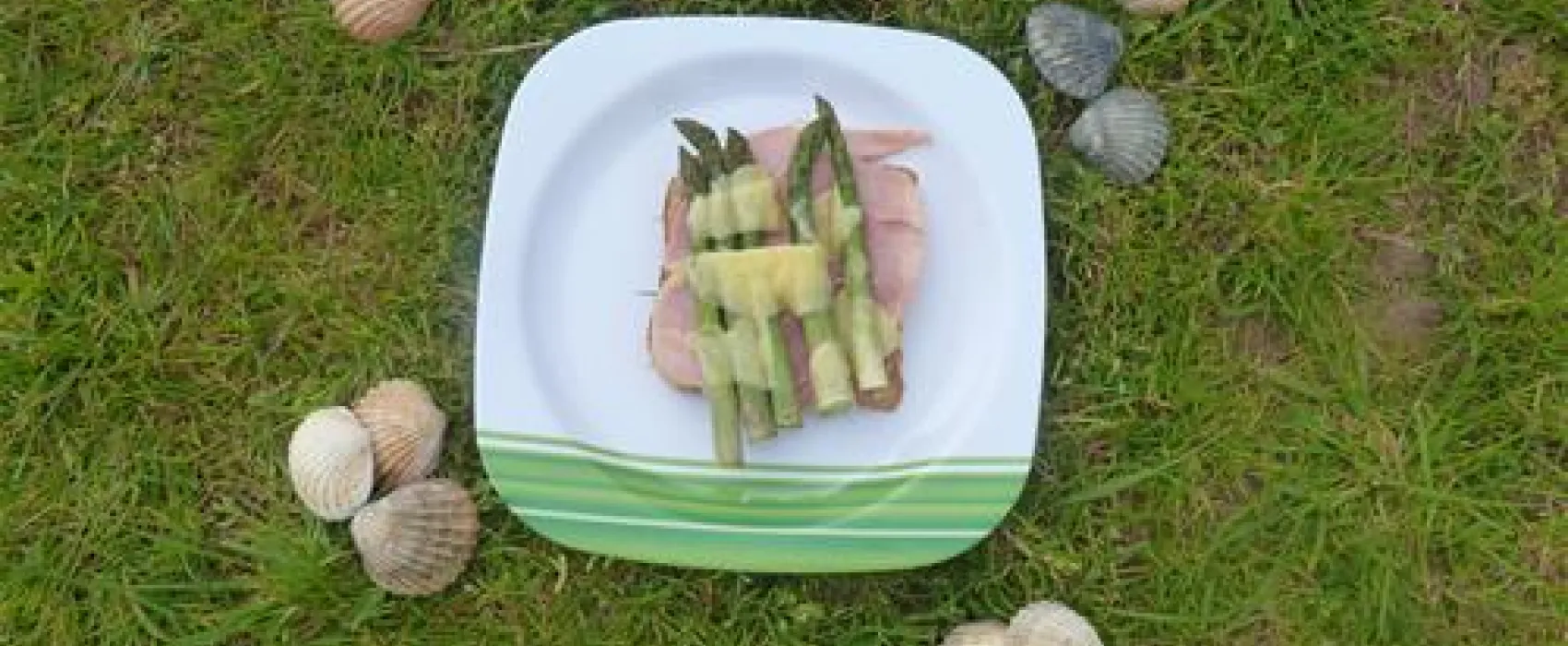 Nicholaston Farm Caravan and Camping Site