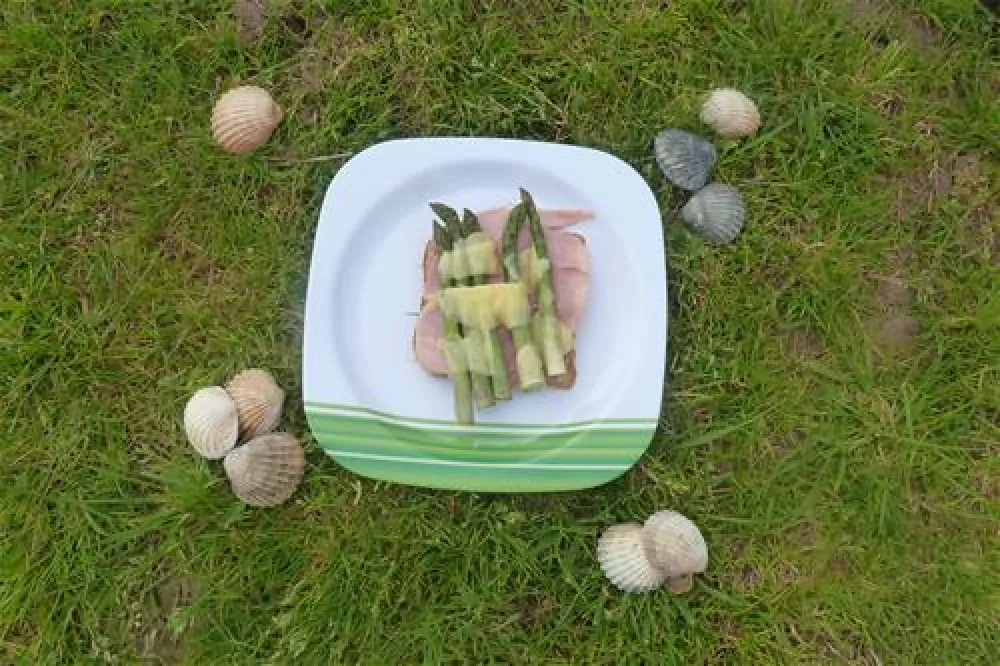 Nicholaston Farm Caravan and Camping Site