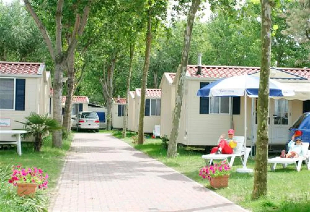 Camping Oasi