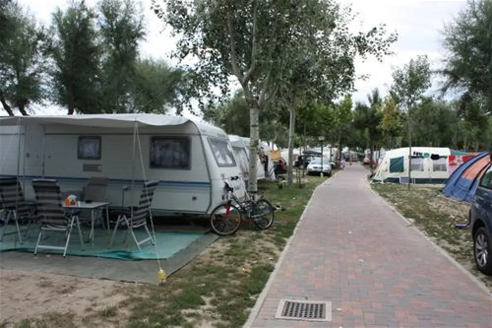 Camping Oasi