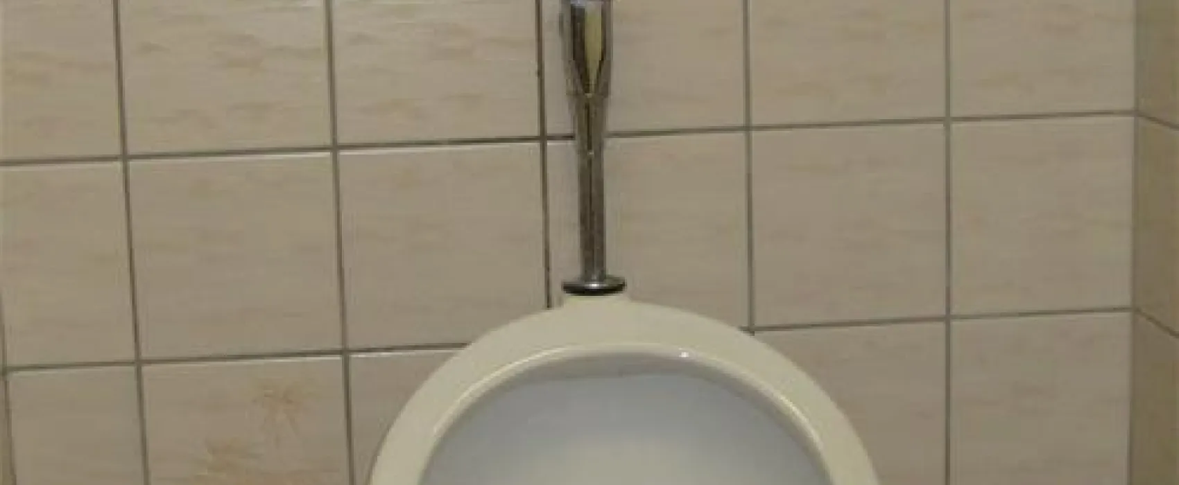 Mini Camping Zeeuws Hof