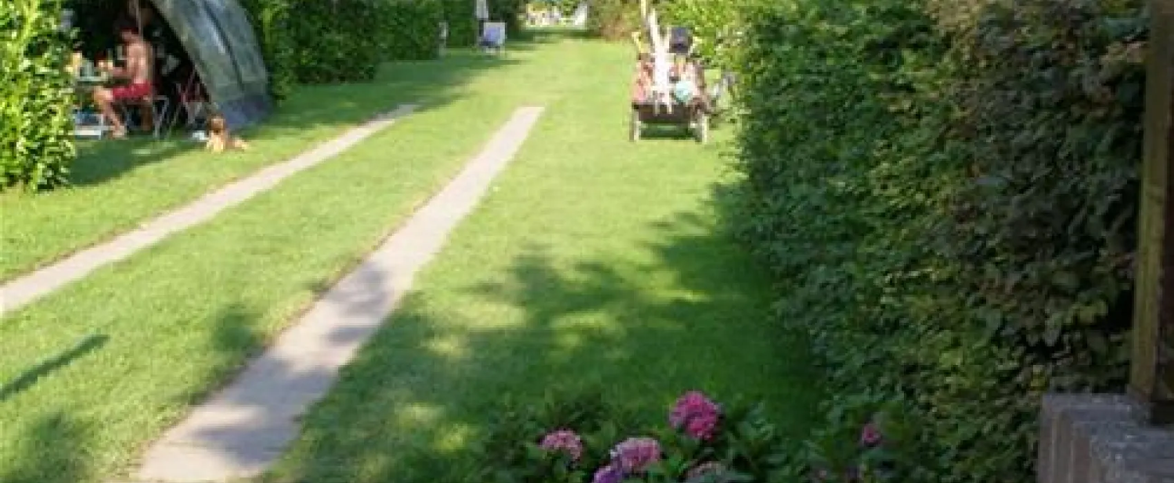 Mini Camping Zeeuws Hof