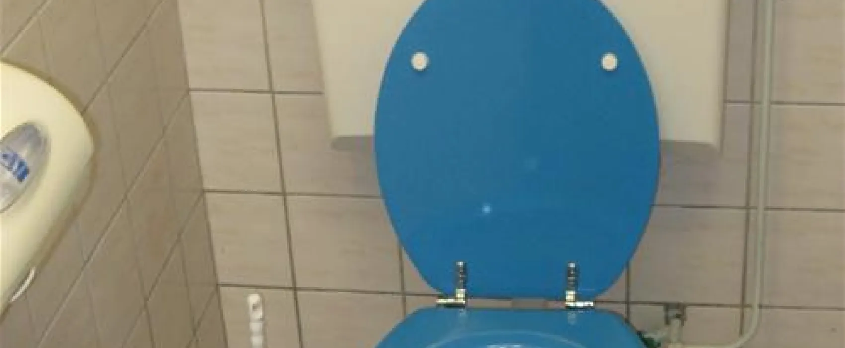 Mini Camping Zeeuws Hof