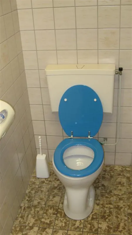 Mini Camping Zeeuws Hof