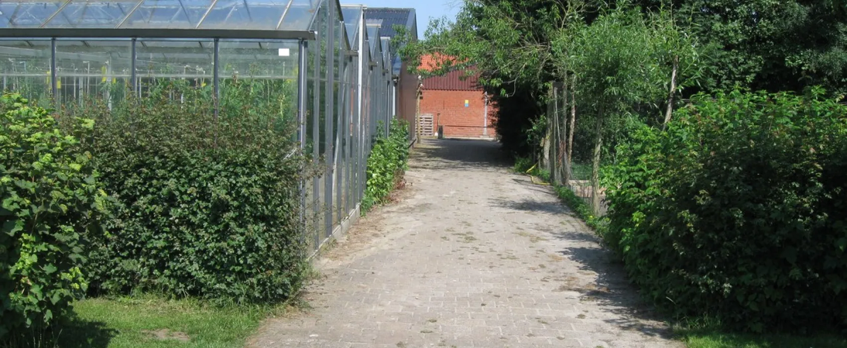 Camping De Menmoerhoeve