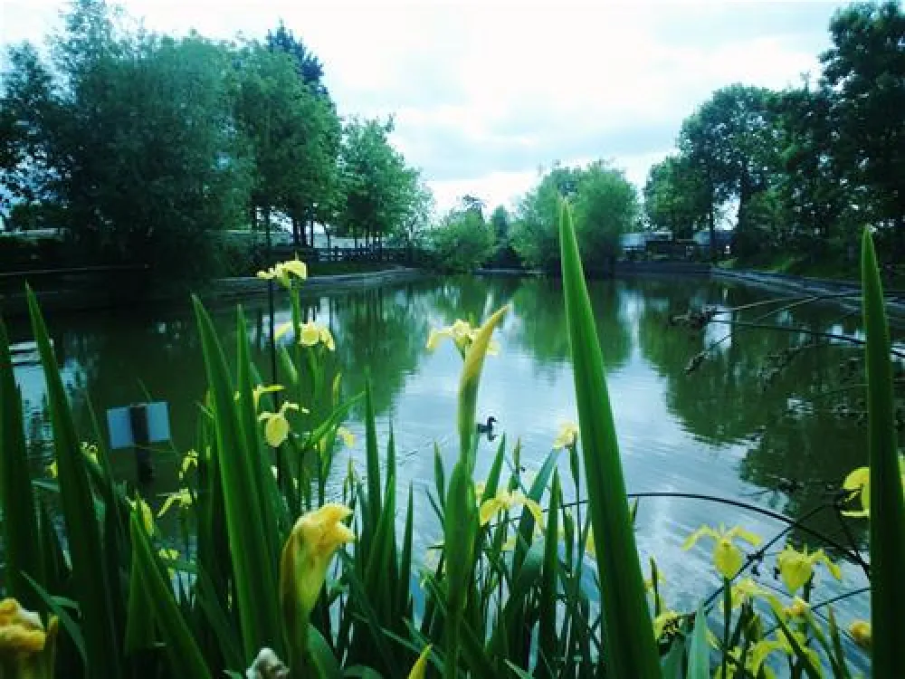 Camping La Paille-Haute