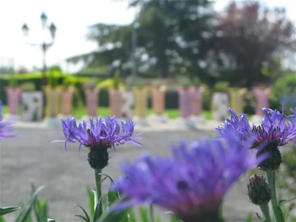 Camping La Paille-Haute