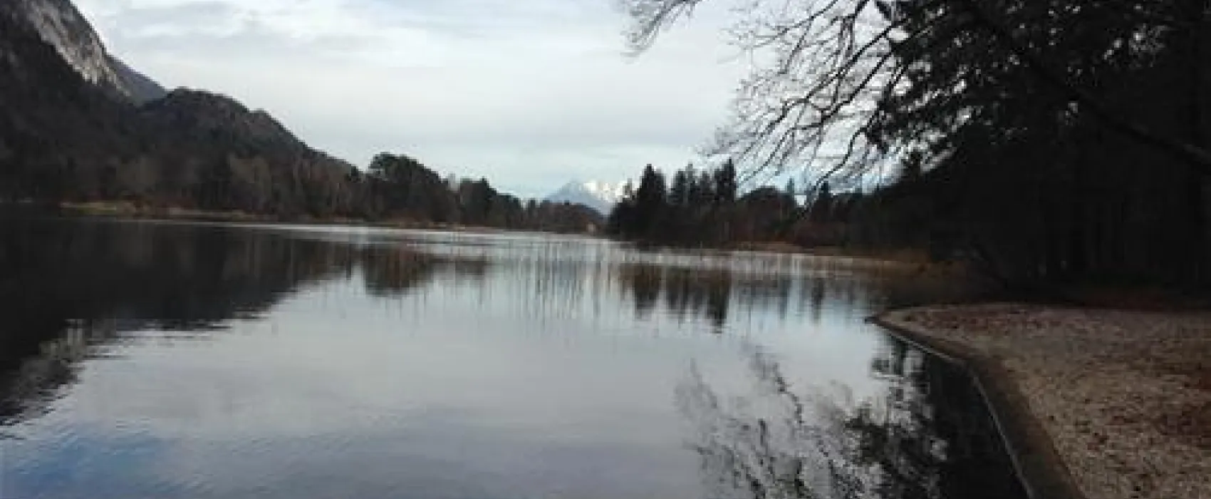 Camping Seeblick Toni