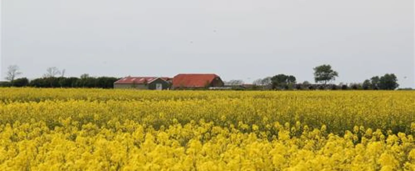 Minicamping de Strohalm