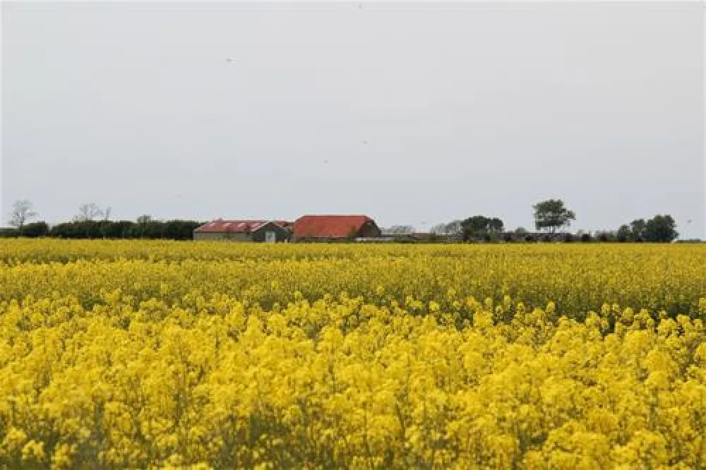 Minicamping de Strohalm