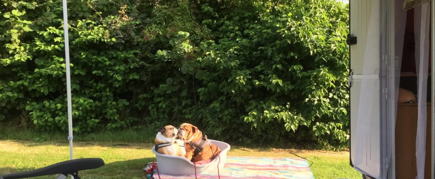 Camping De Blikvaart