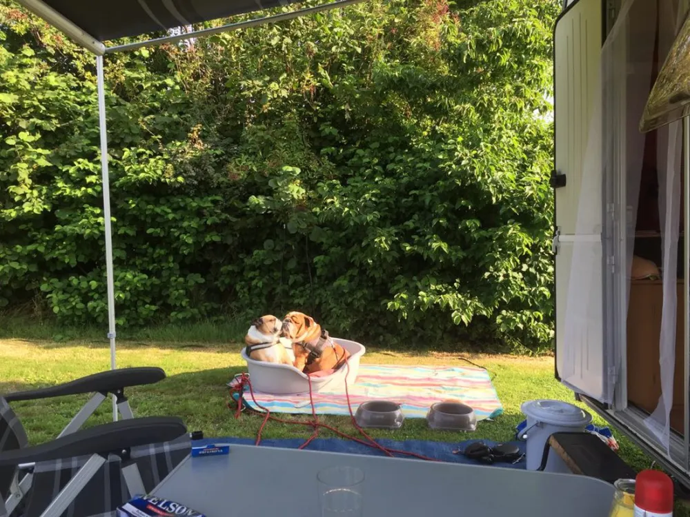 Camping De Blikvaart