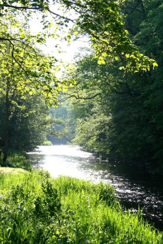Campingplatz Auenland