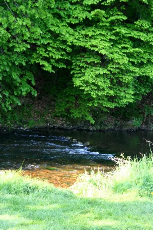 Campingplatz Auenland