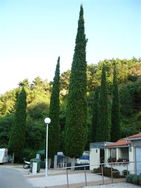 CampingIN Kanegra FKK