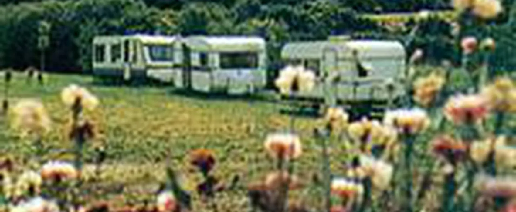 Camping à la ferme des Coûts