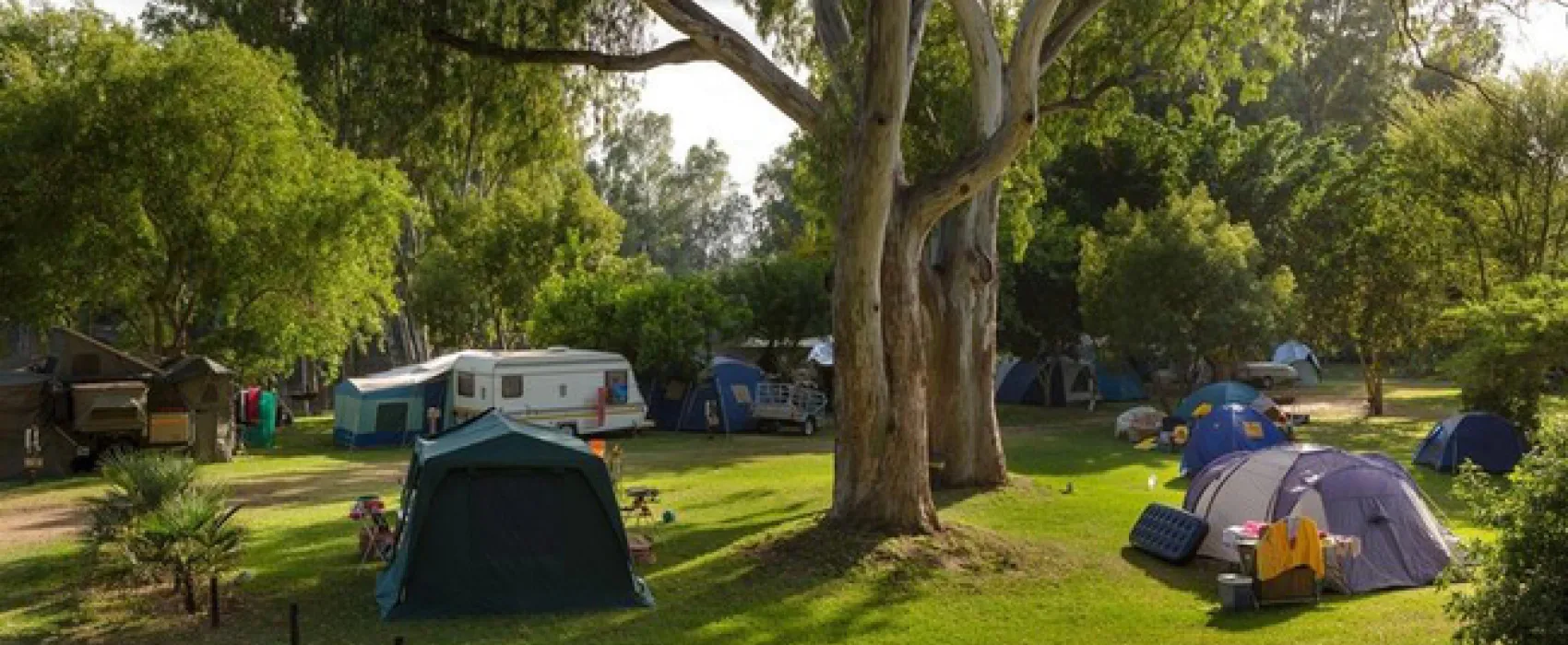 Bonnievale Campsite