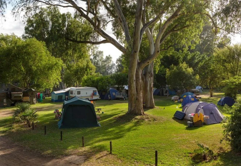 Bonnievale Campsite