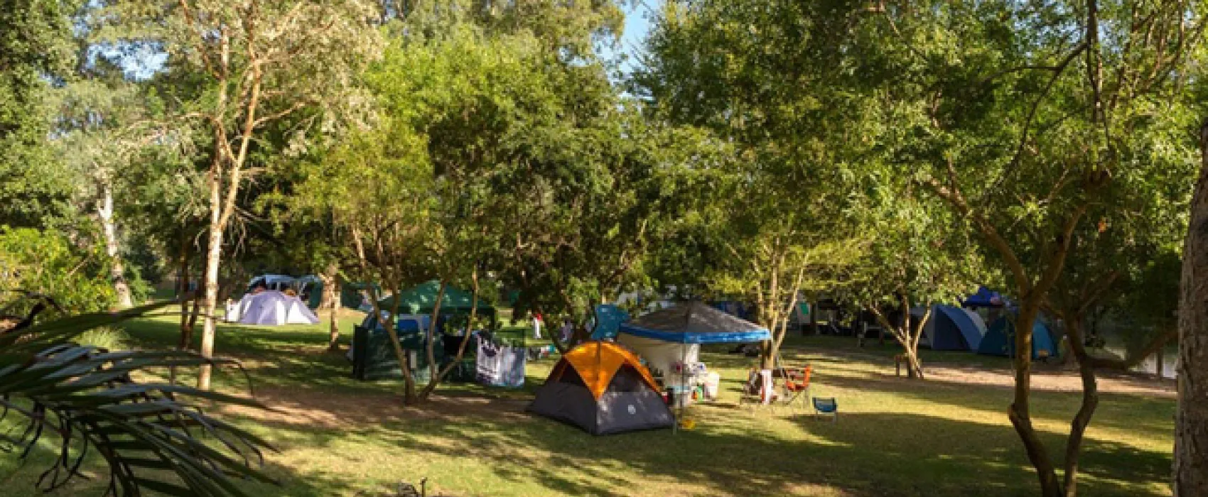 Bonnievale Campsite