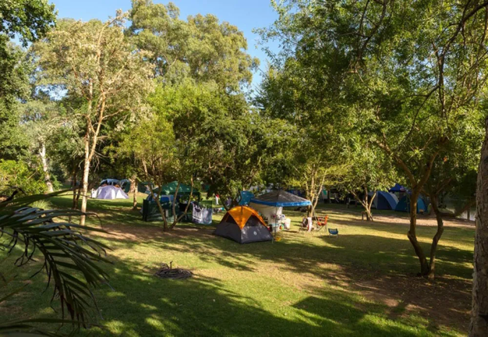 Bonnievale Campsite