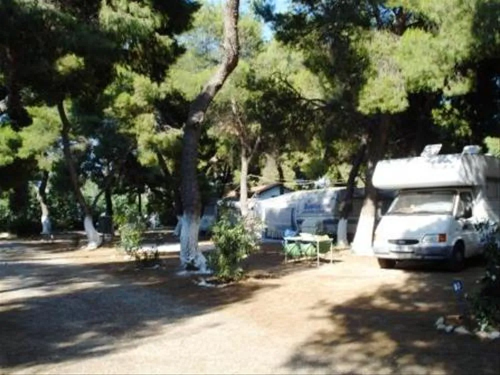 Camping Dionissotis