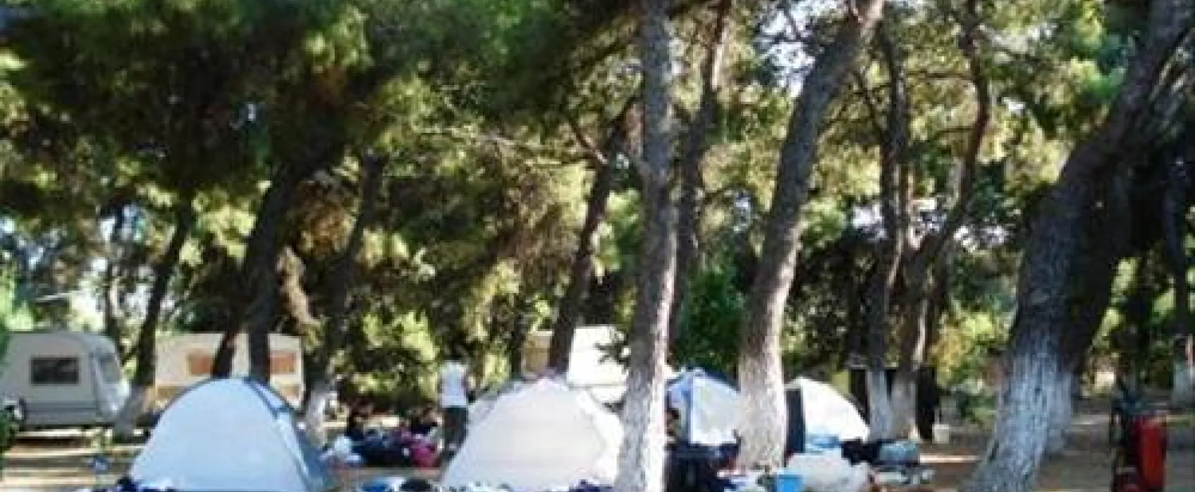 Camping Dionissotis