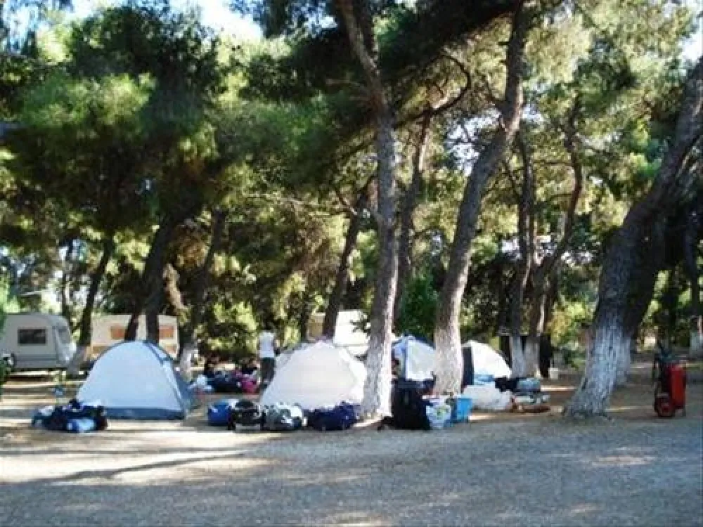 Camping Dionissotis