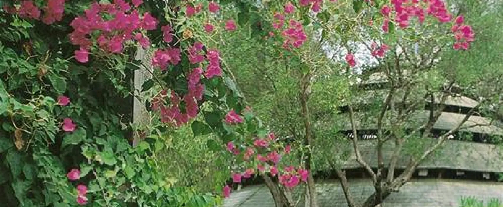 Res. e Parco Pisacane