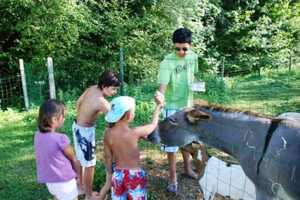 Camping Village le Moulin de Surier ****