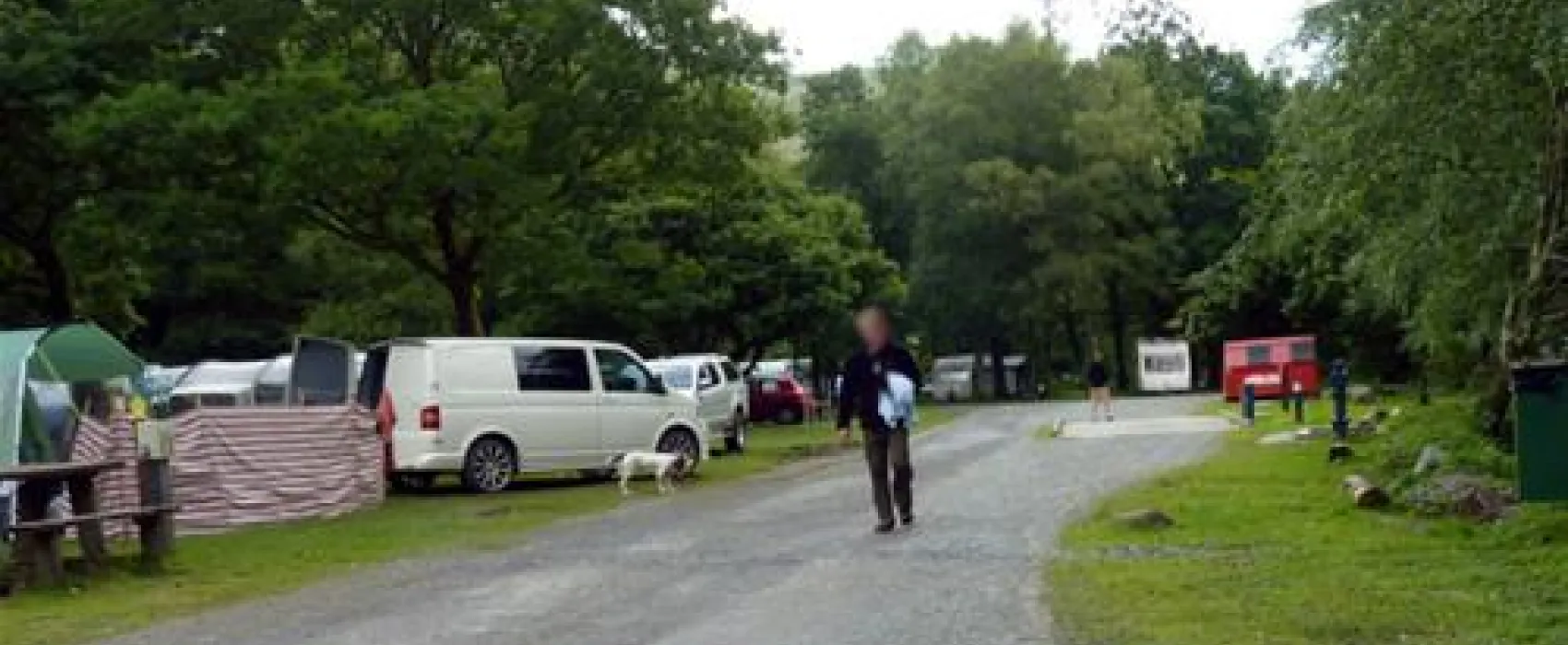 Beddgelert Forest C. & C. Site