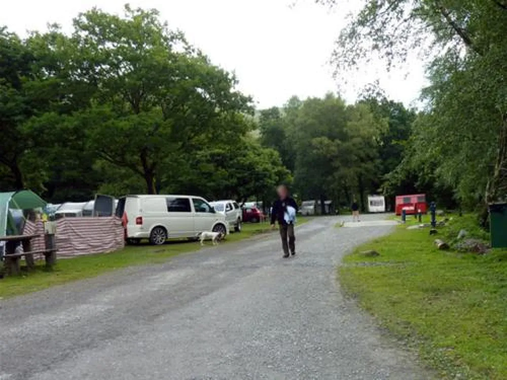 Beddgelert Forest C. & C. Site